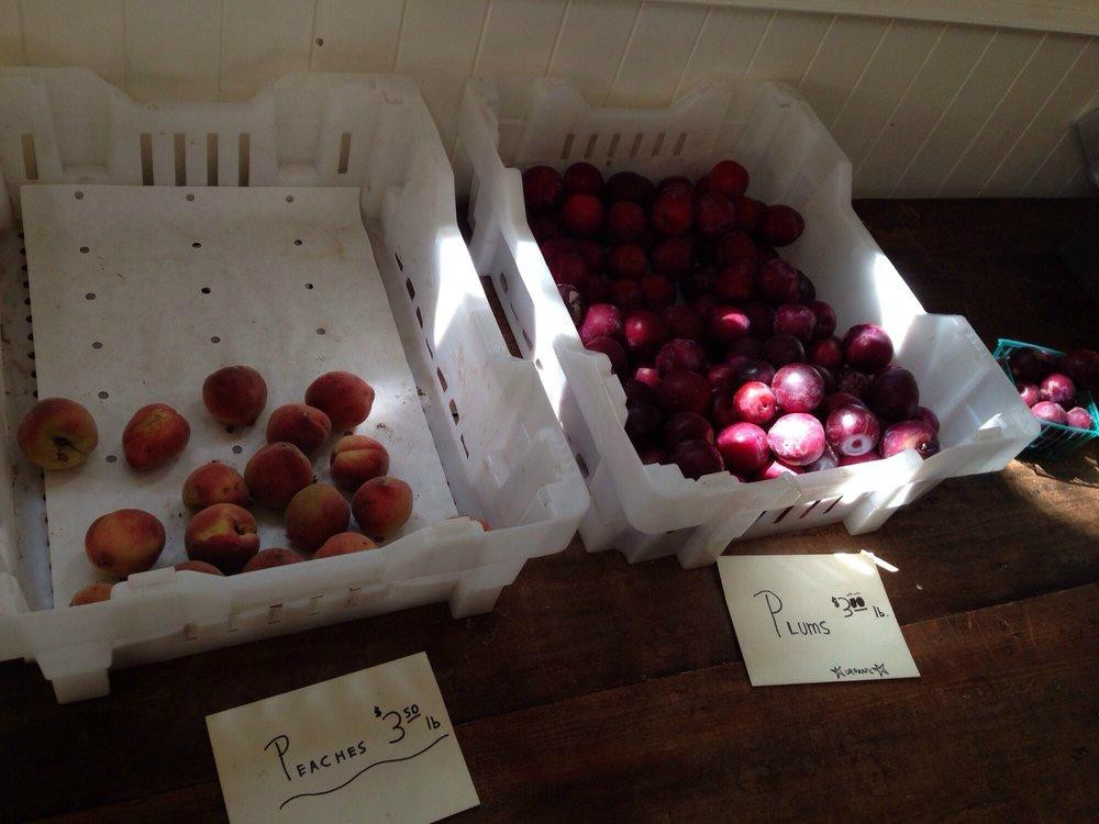 Preston Farms & Winery-希尔兹堡必去景点