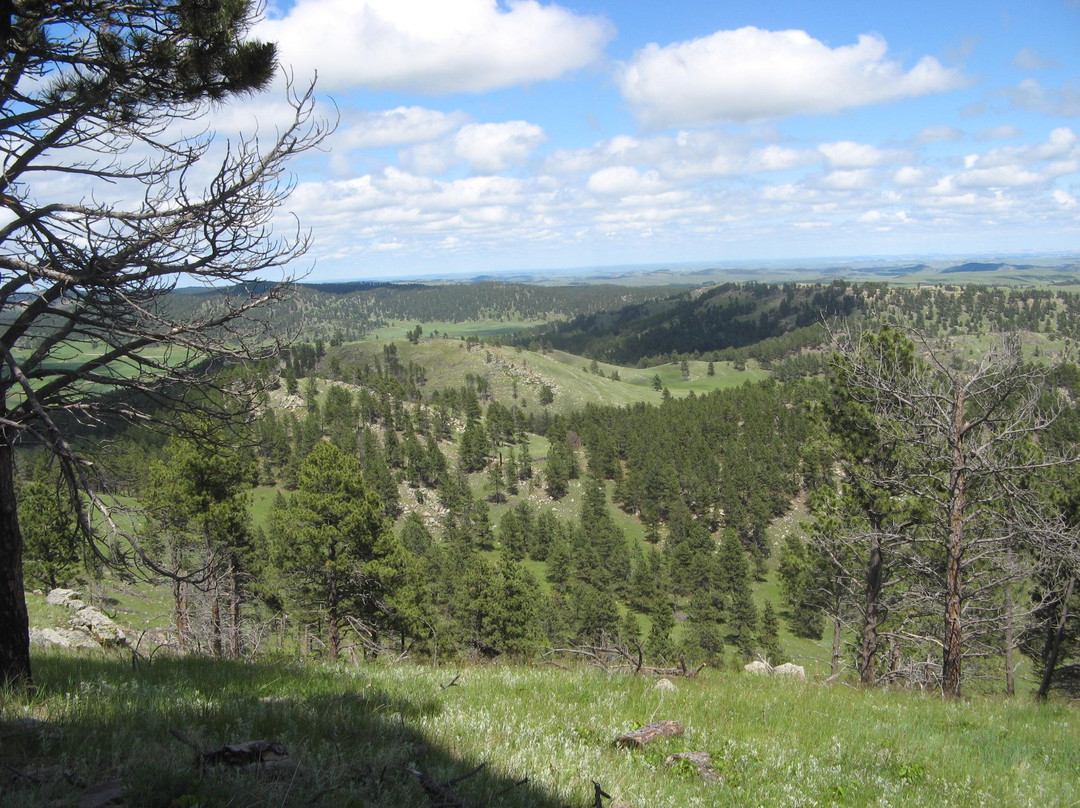 Rankin Ridge Nature Trail-Wind Cave National Park必去景点