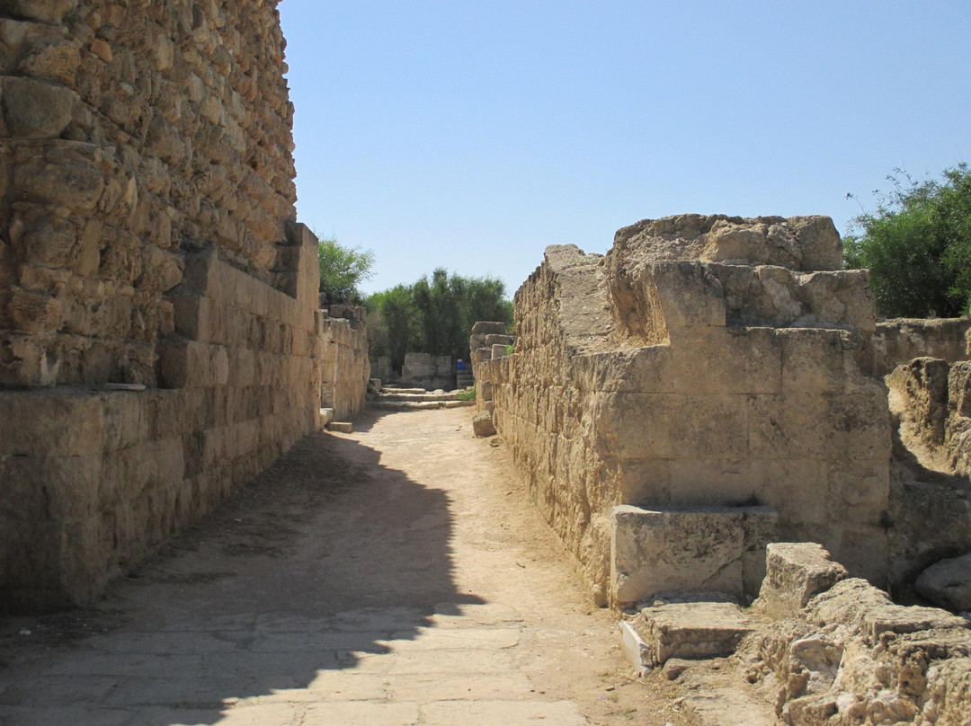 Guidedtours Cyprus - Tours景点图片
