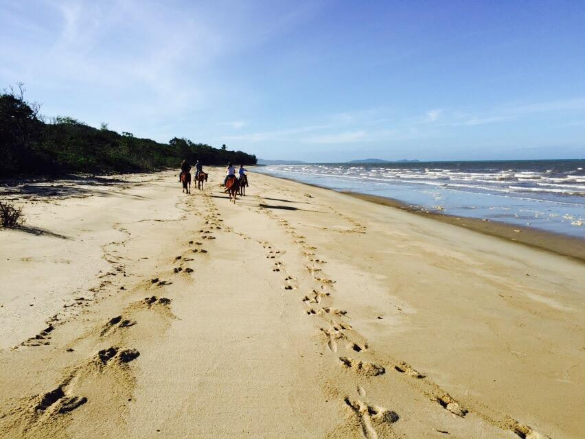 Australian Muster Experience-Mossman必去景点