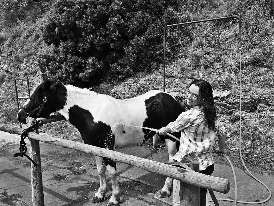 Cabalgando Hacia lo Salvaje-巴塞罗那必去景点