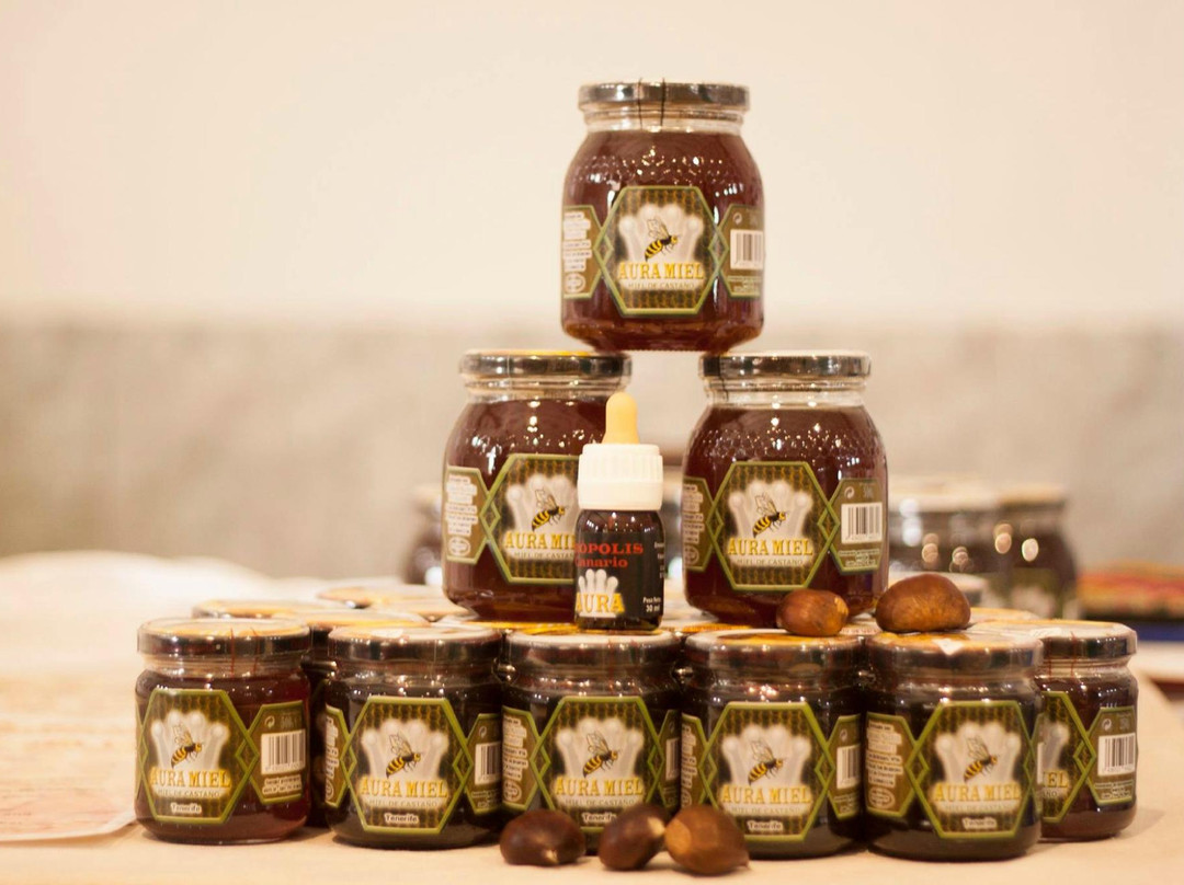 Buzanada旅游景点-Mercado Parque La Reina