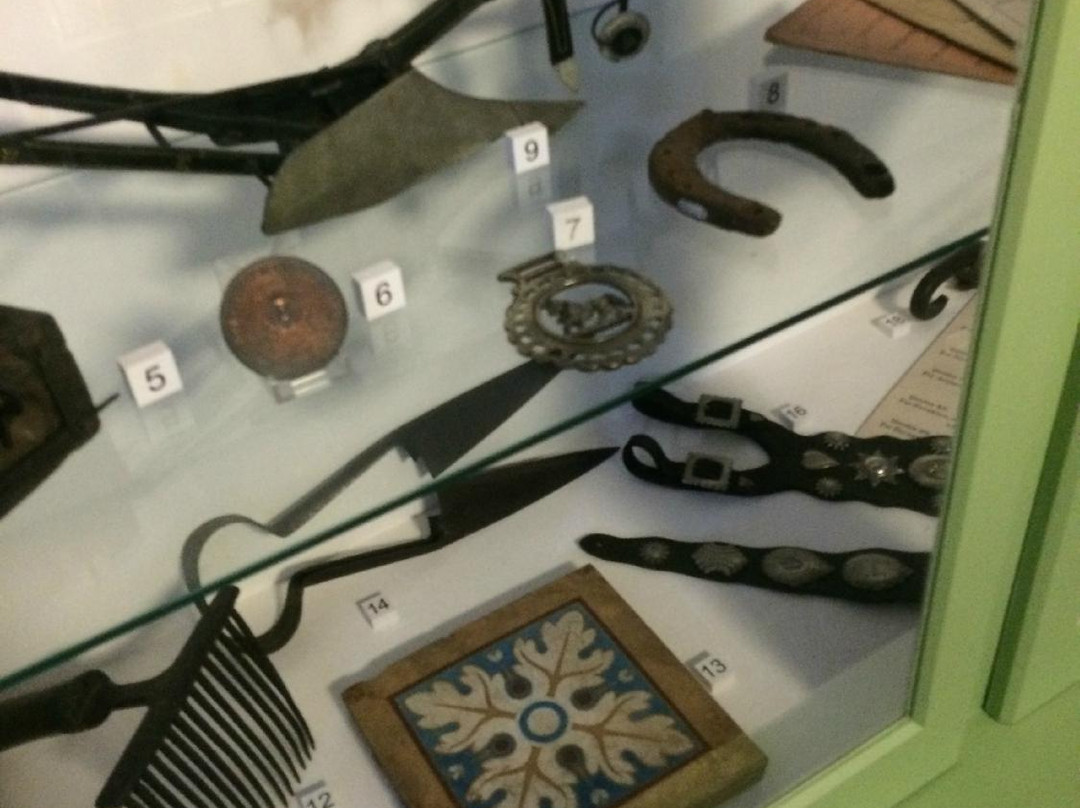 Elgin Museum-埃尔金必去景点