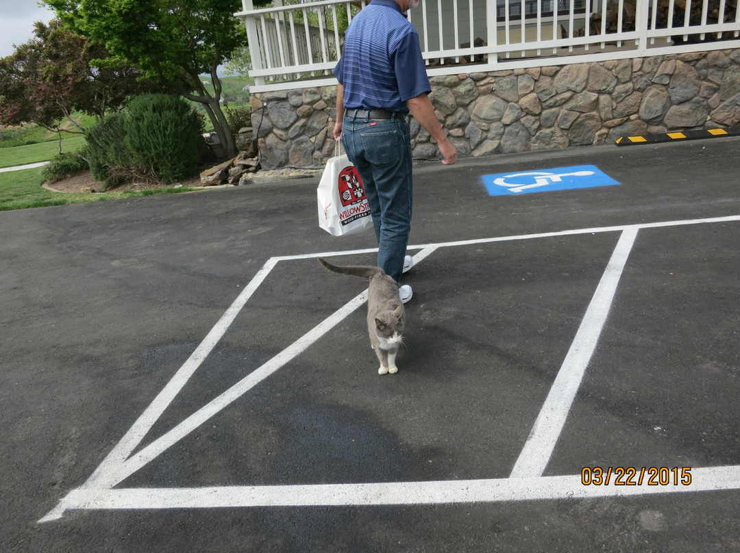 Big Dog Vineyards-米尔皮塔斯必去景点