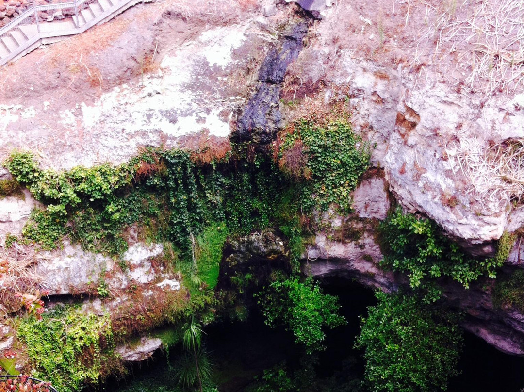 Cave Garden/thugi景点图片