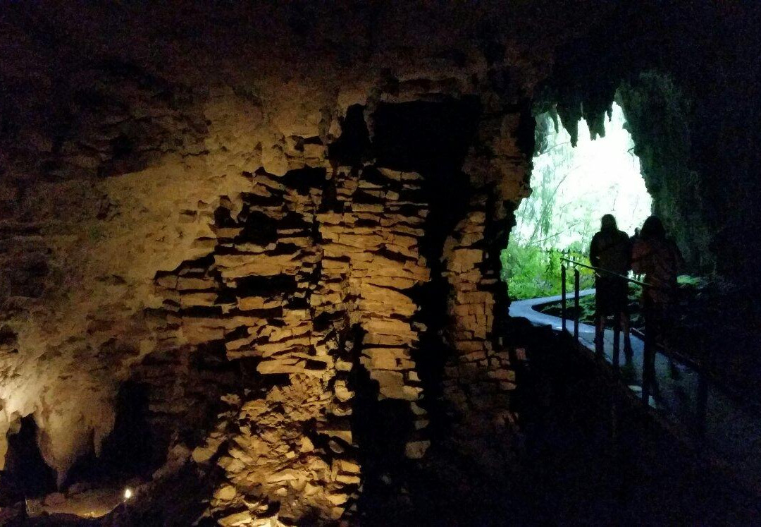 梦幻萤火虫洞之旅-蒂库伊蒂必去景点