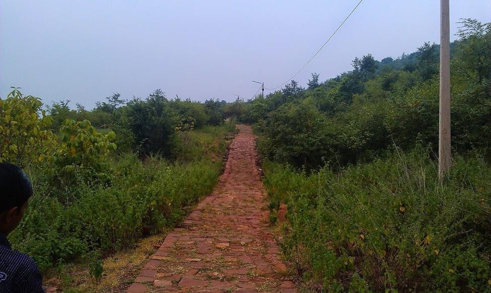 Maa Vaishnav Devi Dhaam景点图片