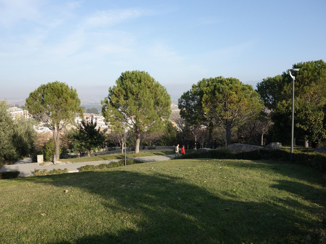 Parque del Seminario景点图片