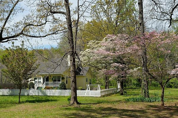 Dogwood Manor Guesthouse主图