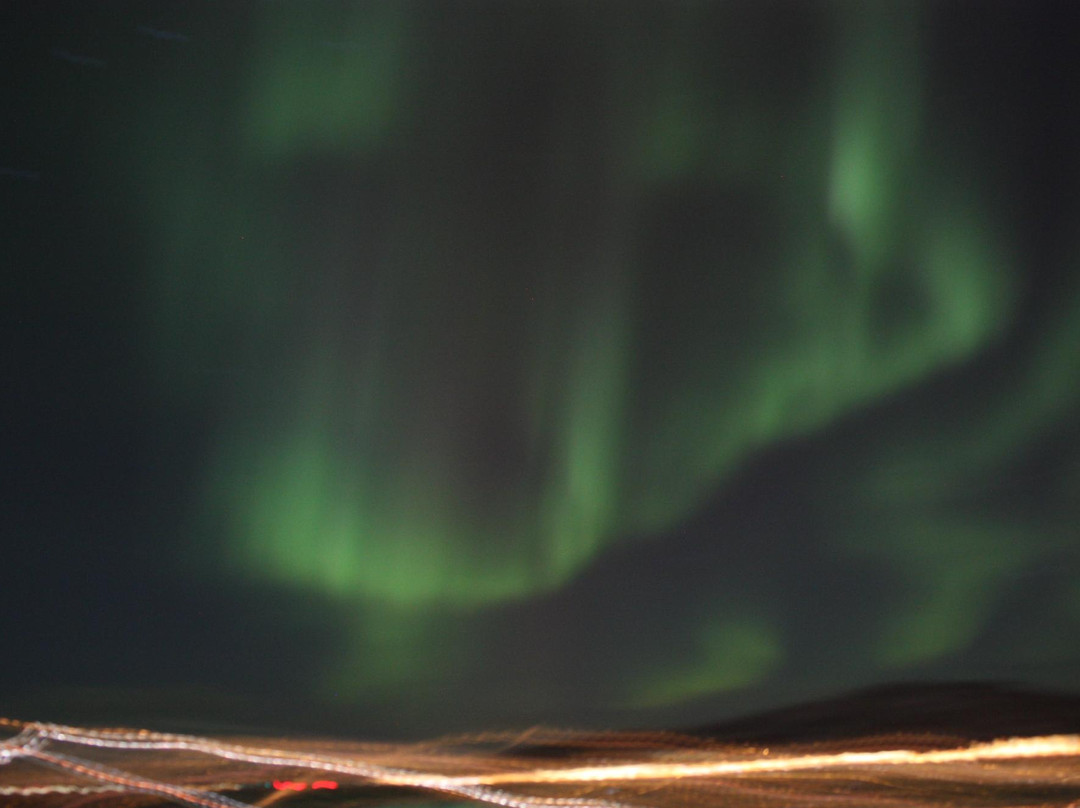 Soroya Havfiskecruise – Day Tours-特罗姆瑟必去景点