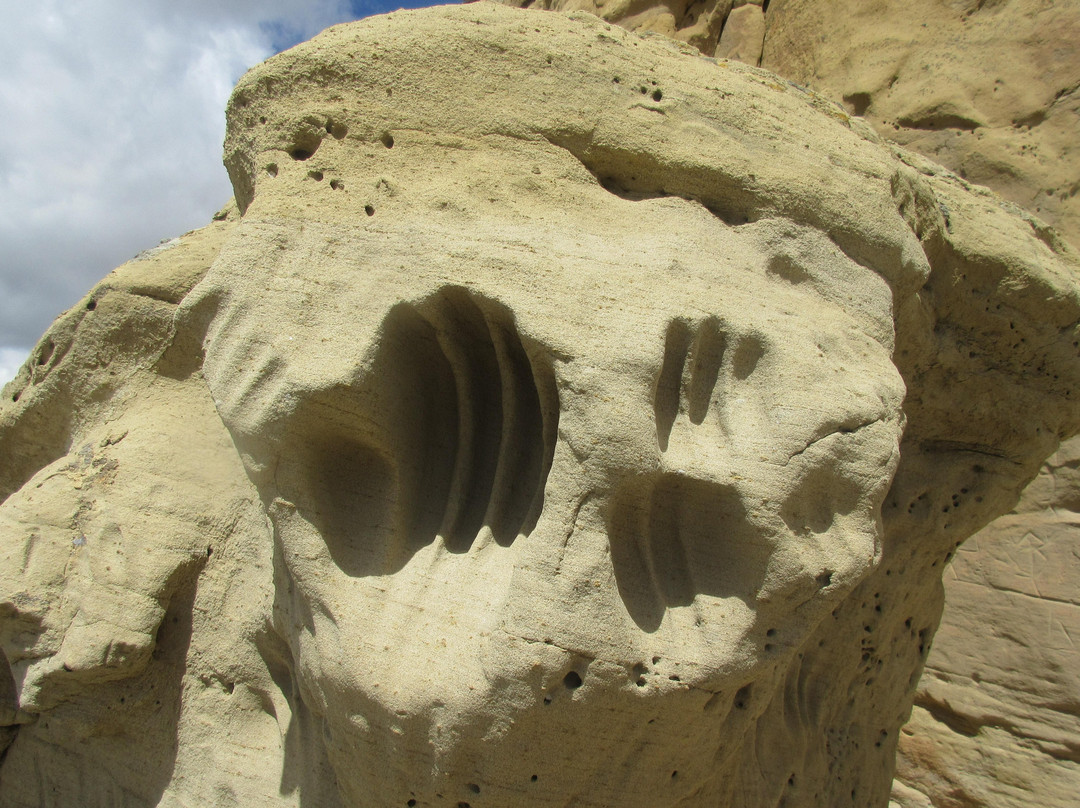 White Mountain Petroglyphs-Rock Springs必去景点