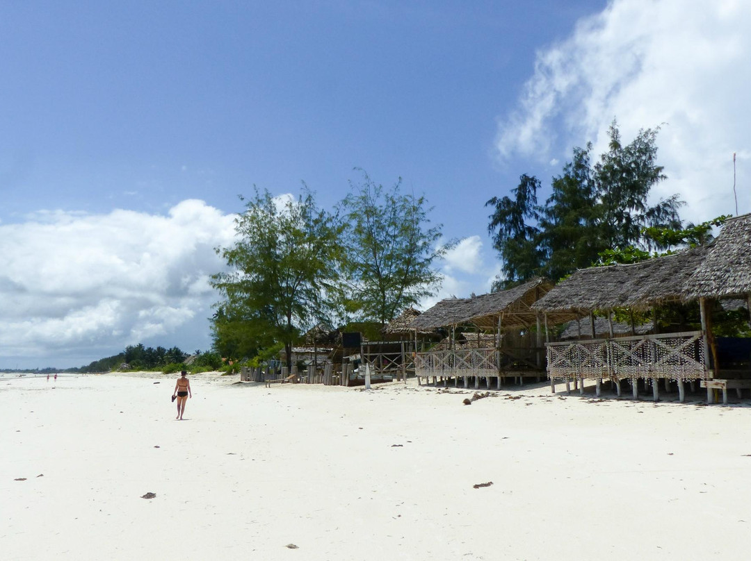 Kite Dream Zanzibar景点图片