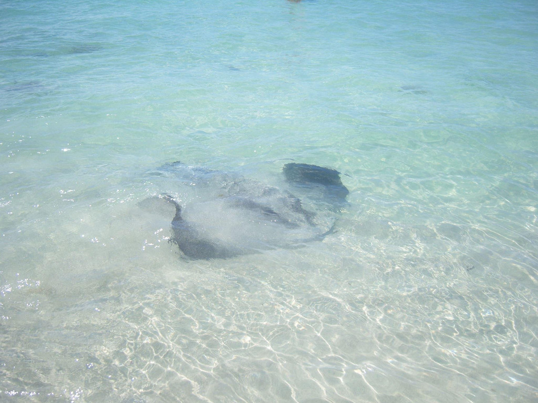 Hamelin Bay Beach-玛格丽特河必去景点