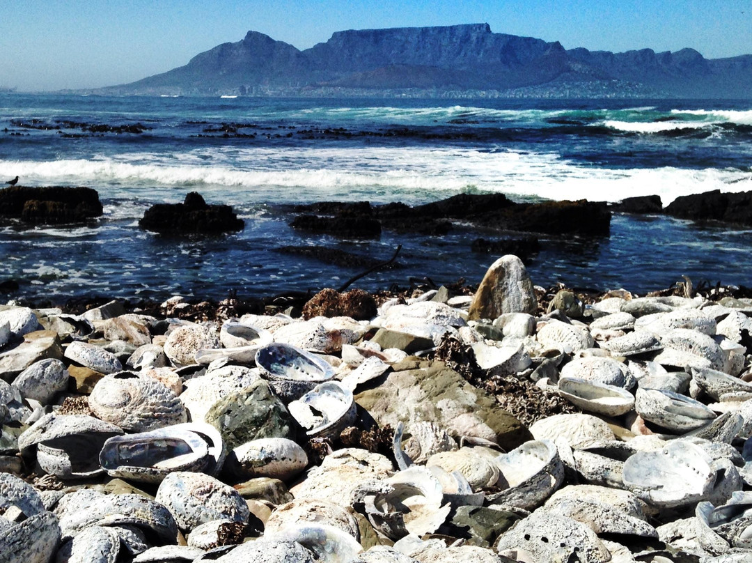 罗本岛-开普敦中心区必去景点