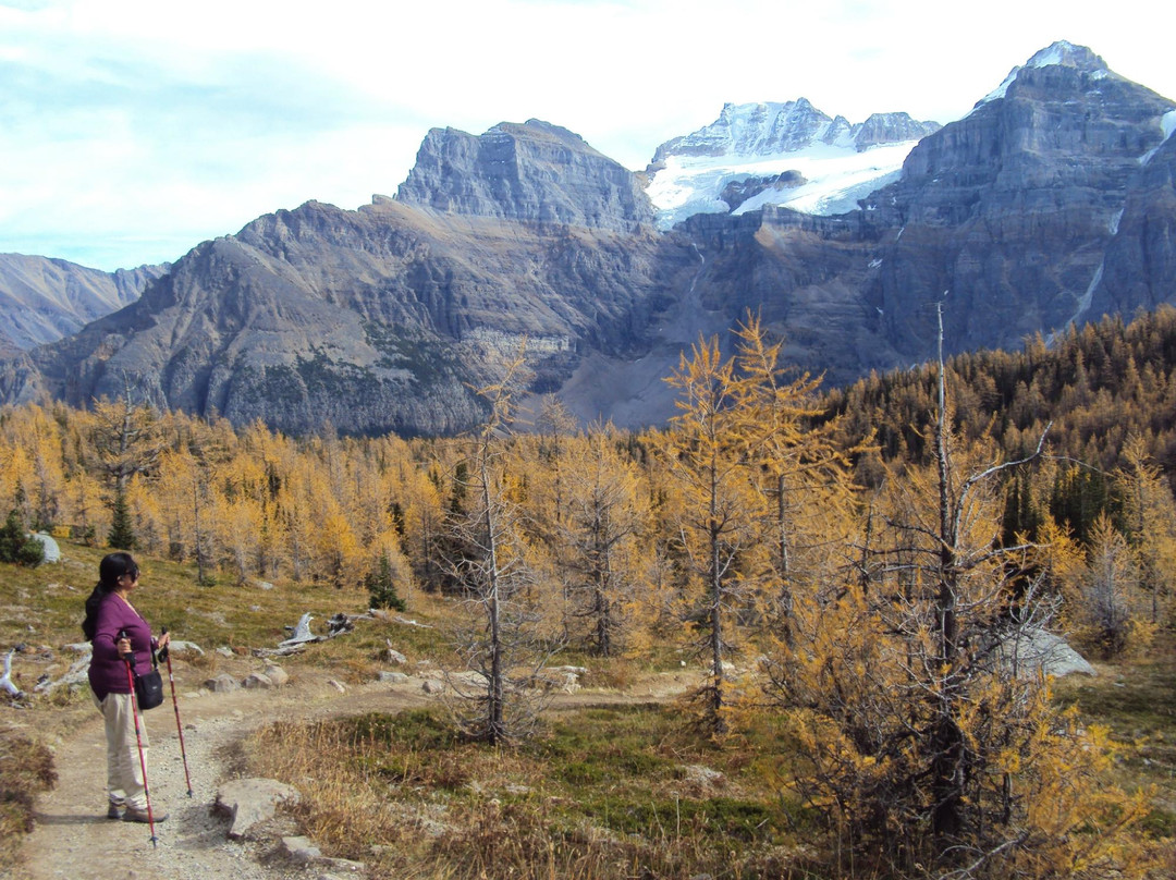 Valley of the Ten Peaks-班夫国家公园必去景点