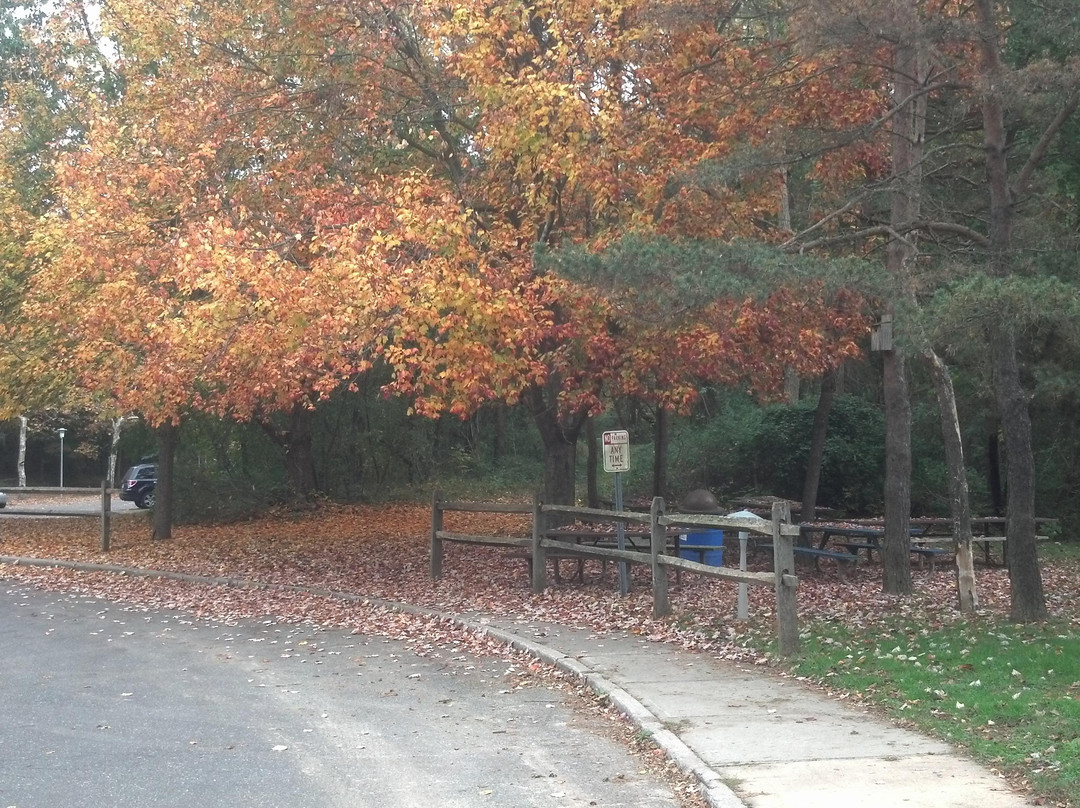 2024年9月Garvies Point Museum and Preserve景点攻略Garvies Point Museum and