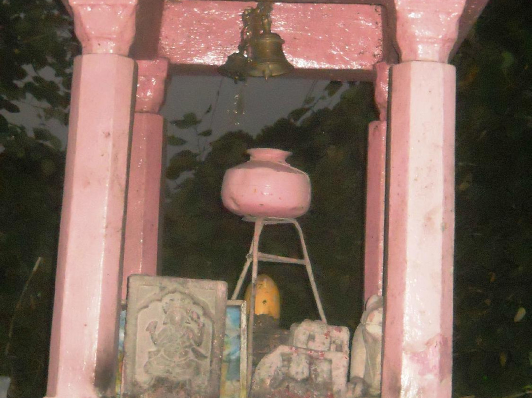 Sukrala Mata Temple景点图片