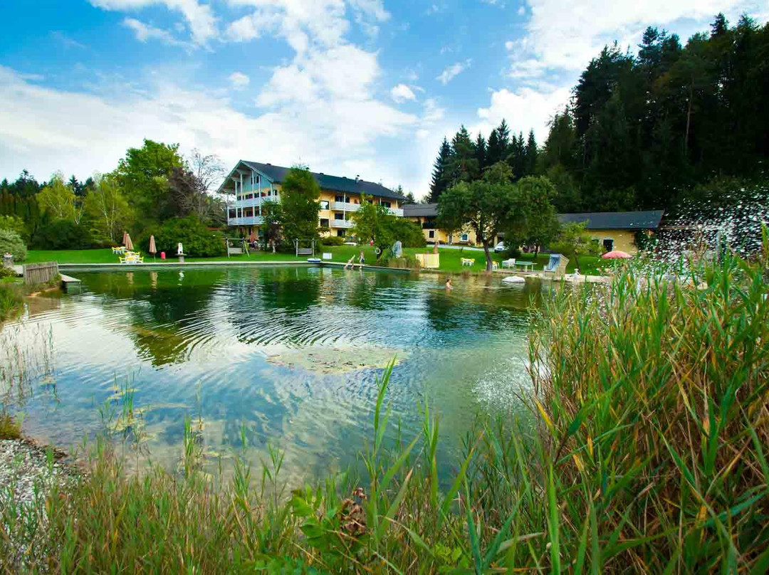 Sankt Jakob im Rosental酒店住宿-Landhaus Drachenstein