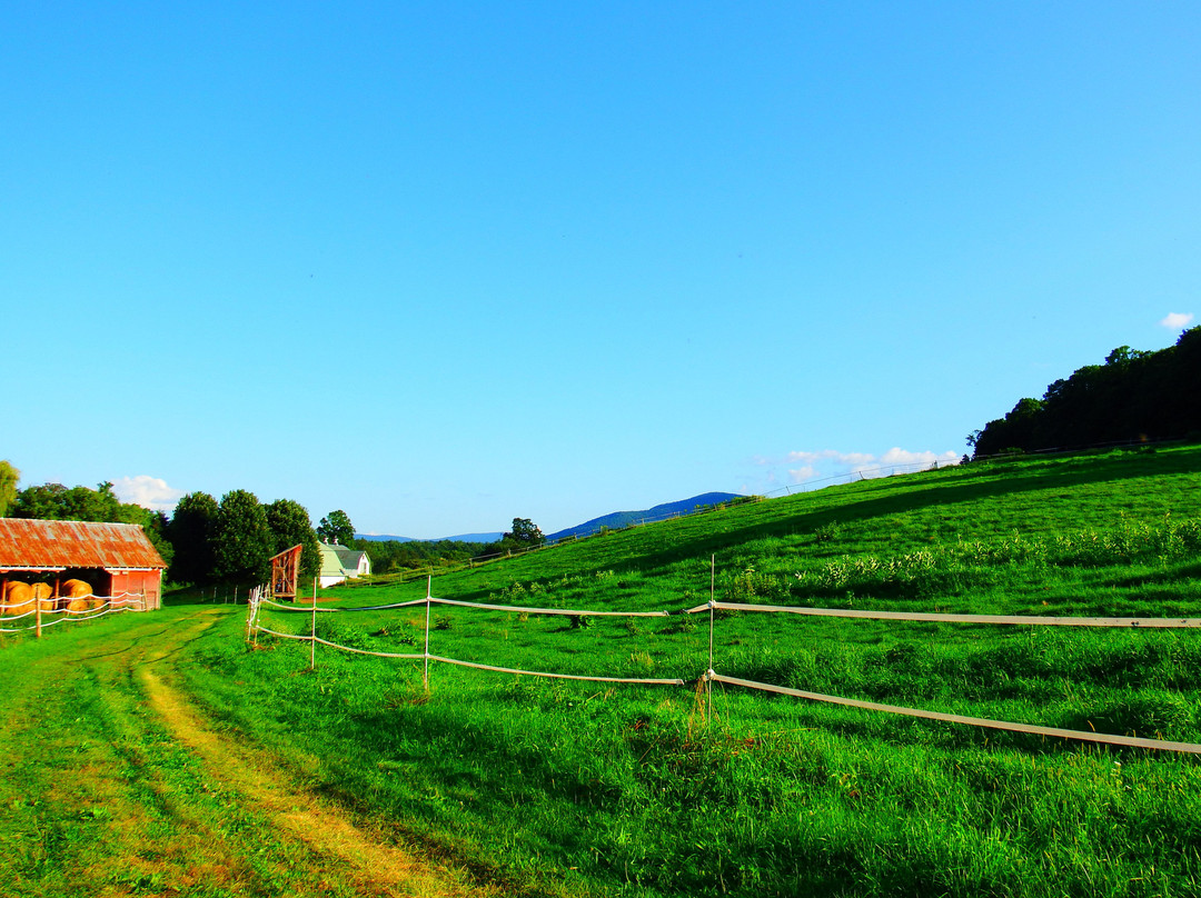 Park–McCullough Historic House-本宁顿必去景点