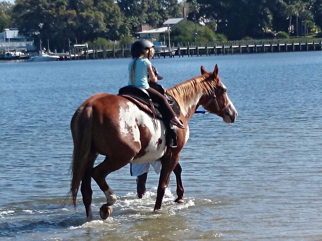 RJ Horse Riding LLC.-Bradenton Beach必去景点