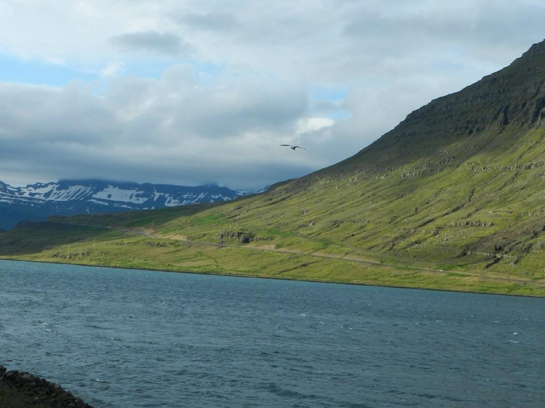 Hotel Apartments主图