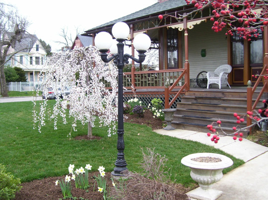 Lady Linden Bed and Breakfast主图