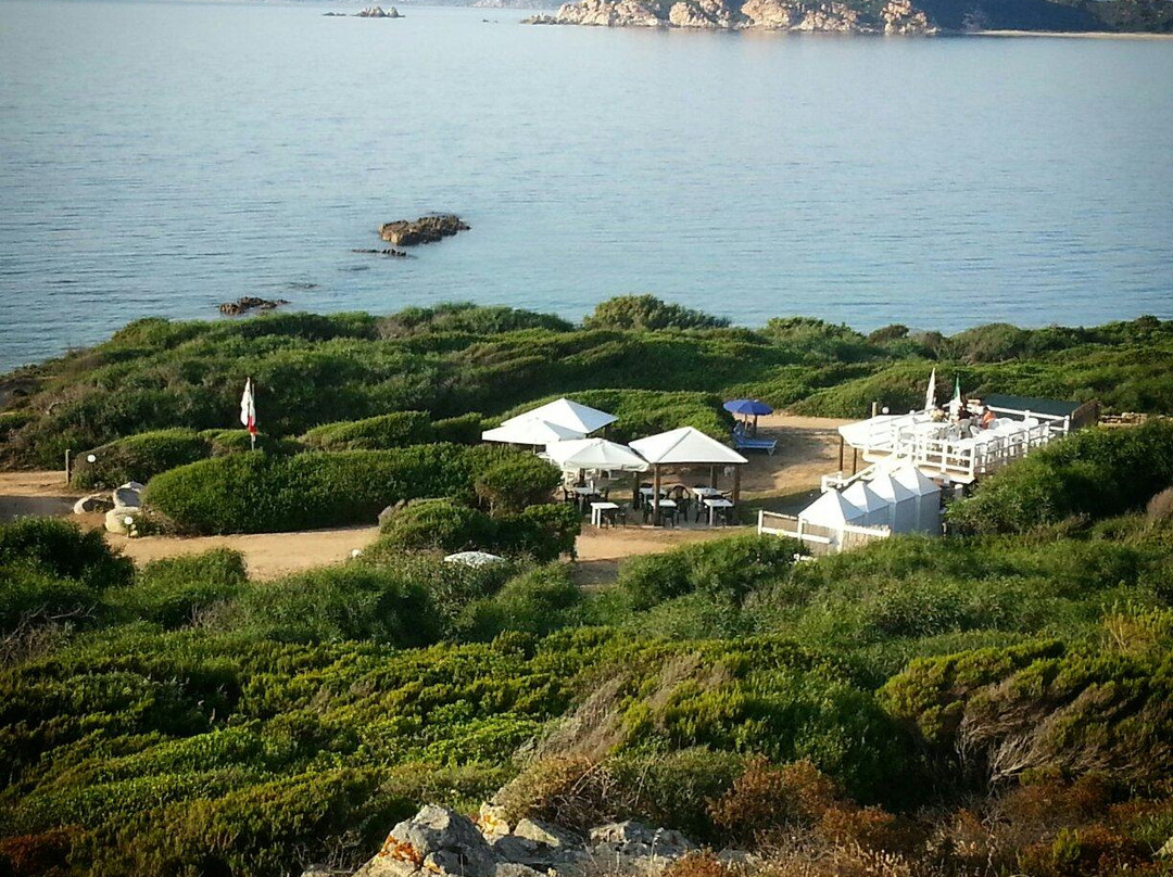 Lu Lamoni餐馆和美食-La Terrazza Sul Mare