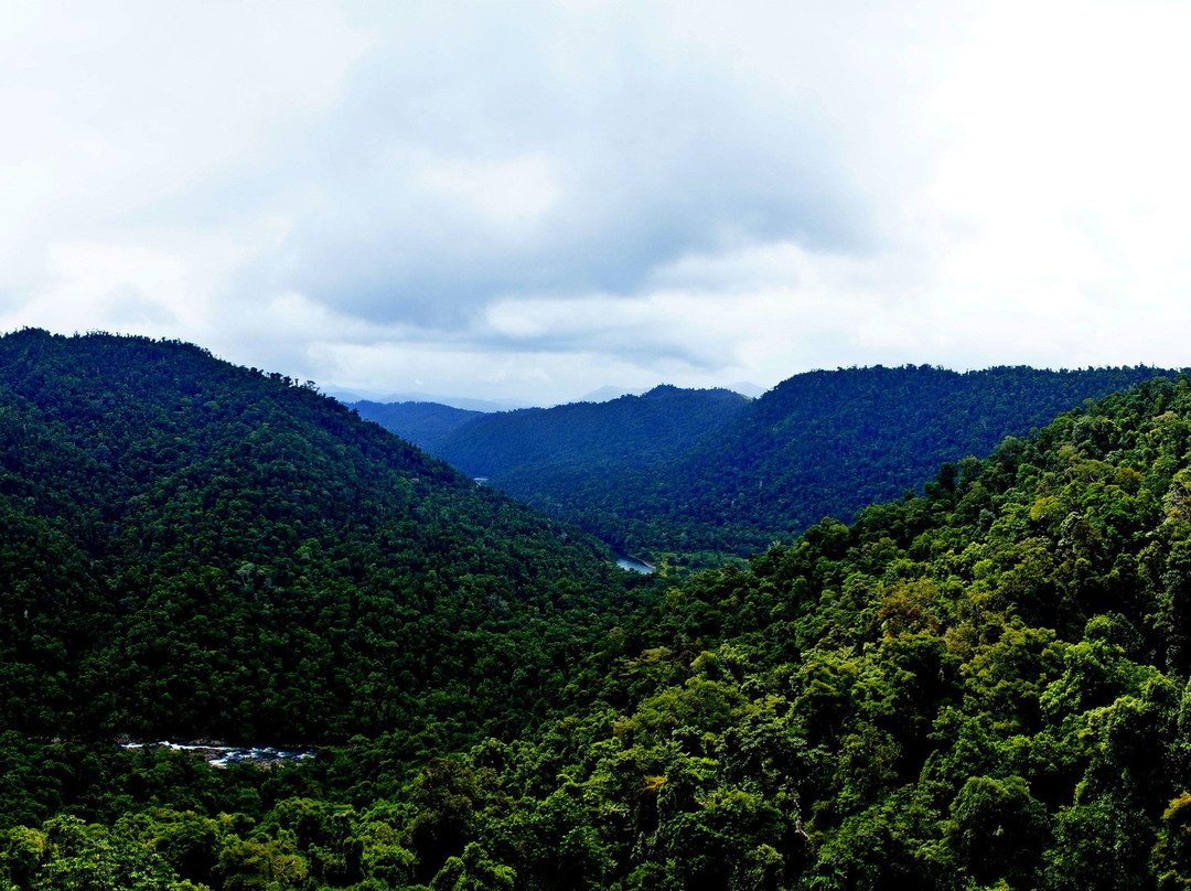 Mamu Tropical Skywalk-因尼斯费尔必去景点