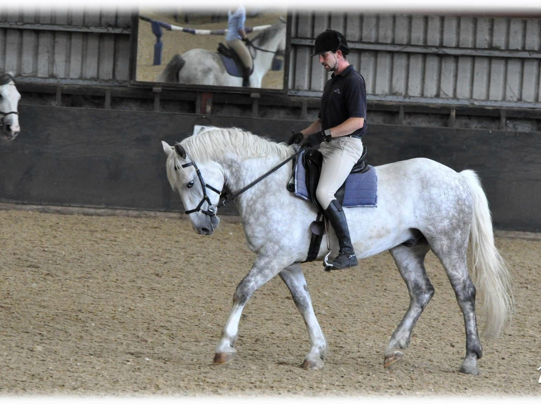 Festina Lente Equestrian Centre & Walled Gardens-布瑞必去景点