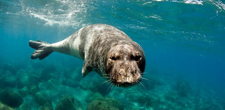 Azul Diving Center-沙尔必去景点