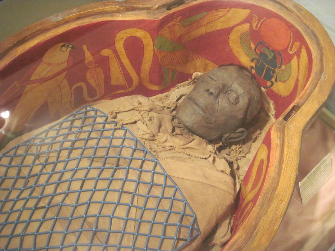 Museu de Arqueologia Ciro Flamarion Cardoso-Ponta Grossa必去景点