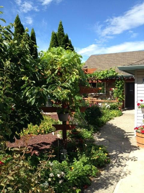 A & S Lakeview Bed & Breakfast主图