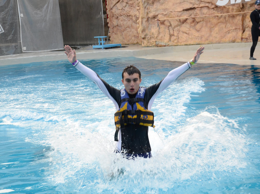 Dolphin Discovery-墨西哥城必去景点