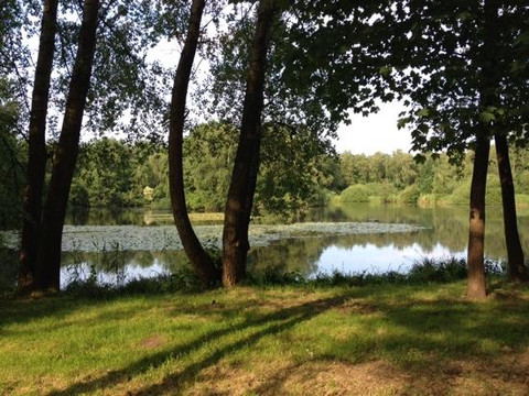 Hasloh餐馆和美食-Zur Wulfsmuhle