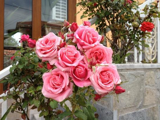 姆塞斯9号公寓主图