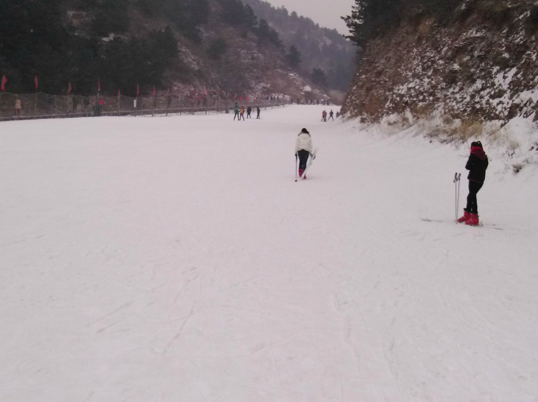 元宝山滑雪场景点图片