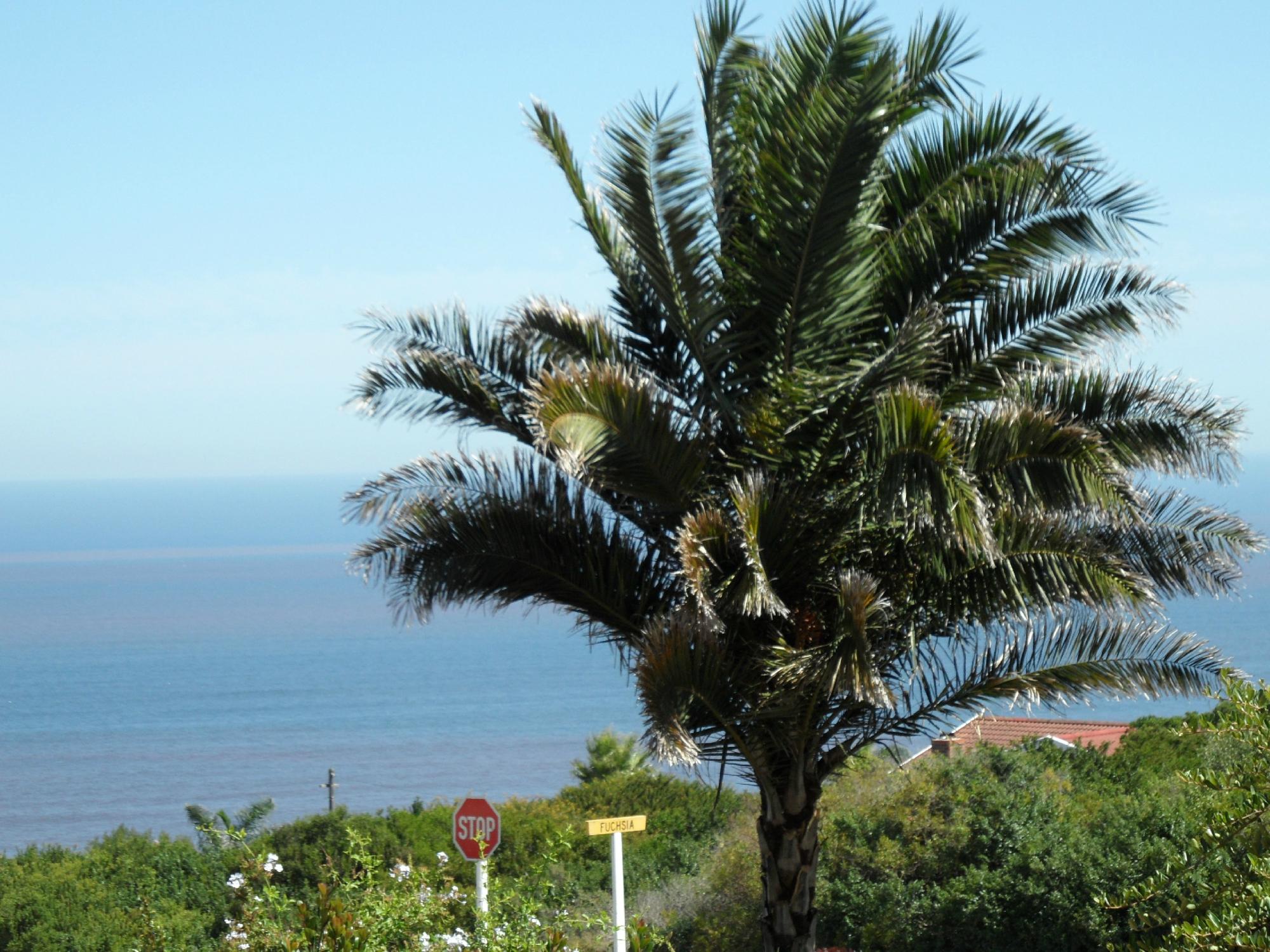 Blue Horizon Bay Guest House-酒店景观