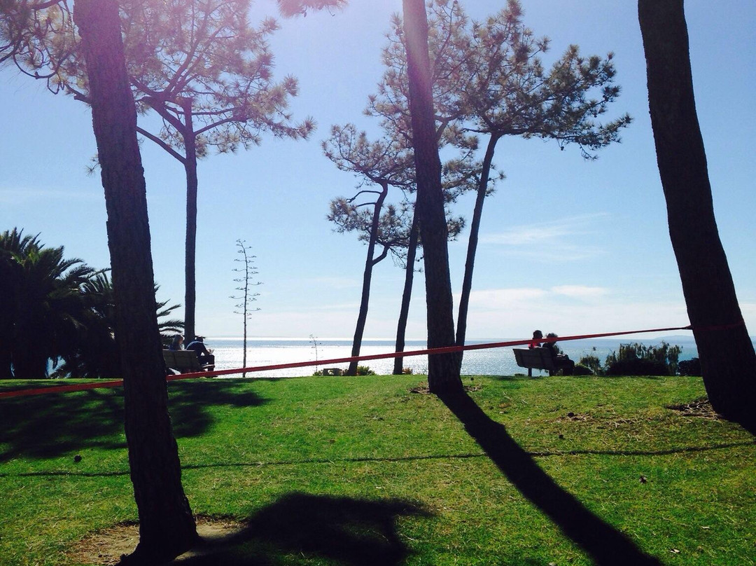 Pines Park-德纳角必去景点