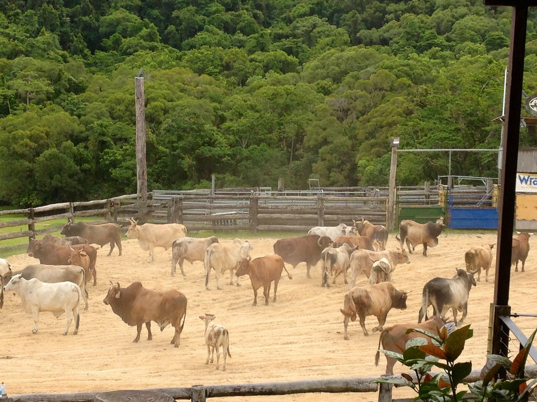 Australian Muster Experience-Mossman必去景点