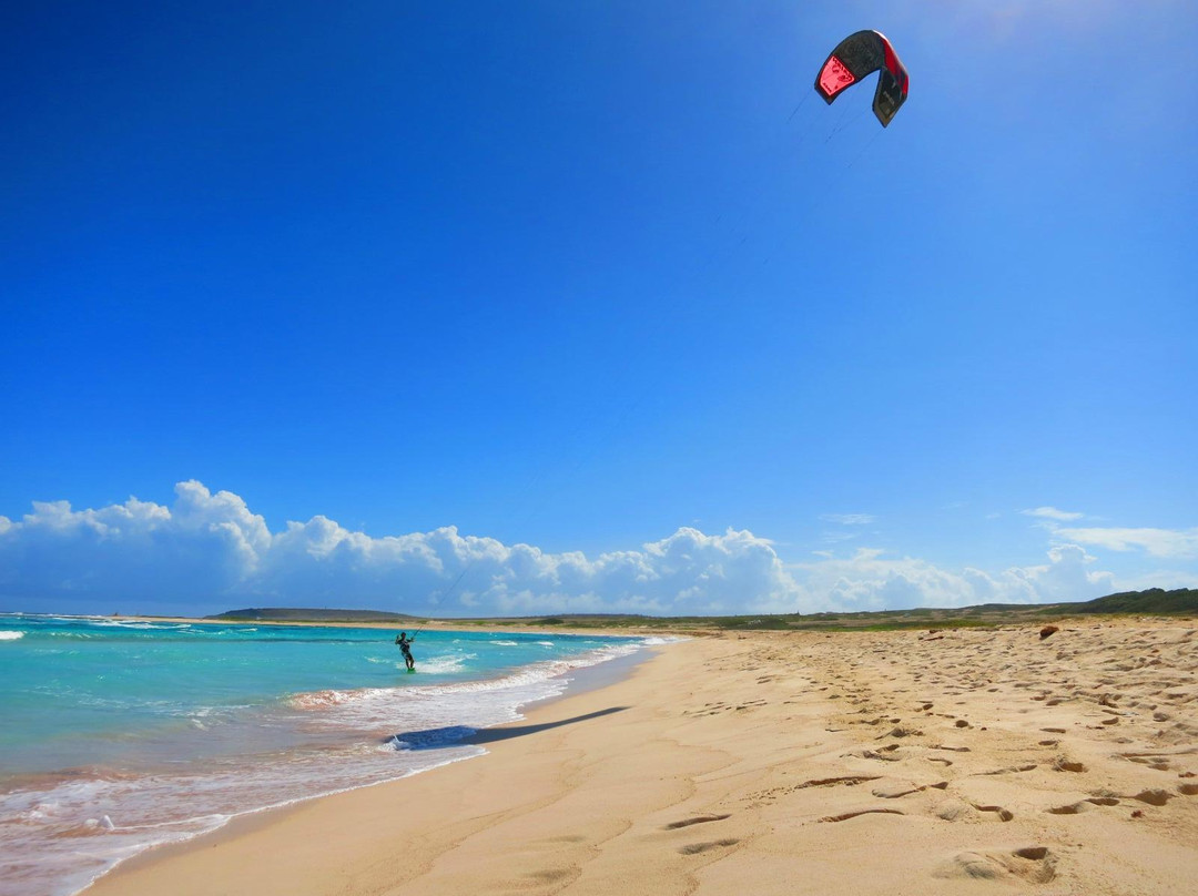Pro Kite School Aruba-Santa Cruz必去景点