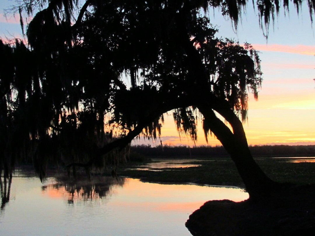 Hontoon Island State Park-迪兰必去景点