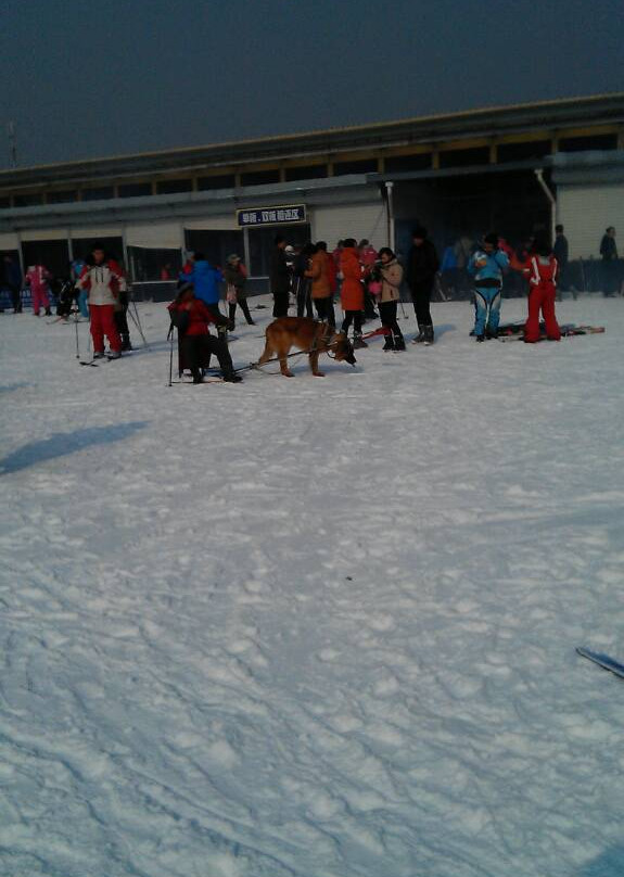 天津蓟县玉龙滑雪场-蓟县必去景点