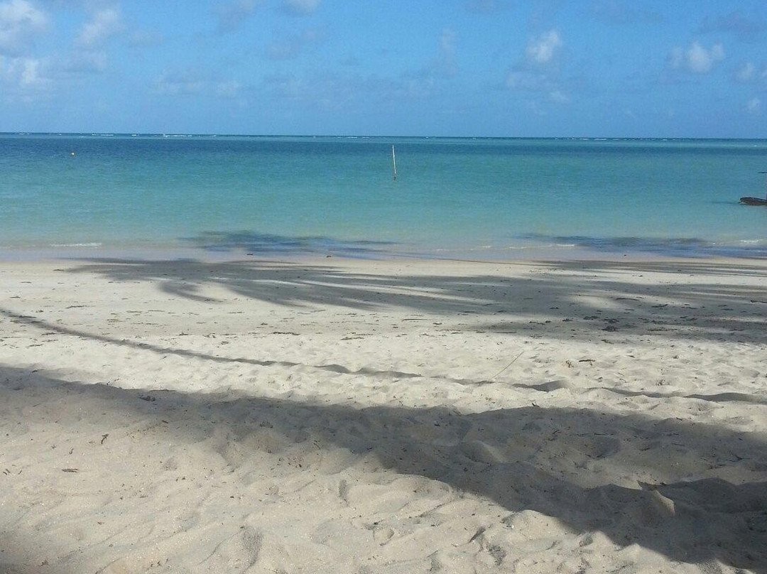 Praia Ponta de Mangue-Maragogi必去景点