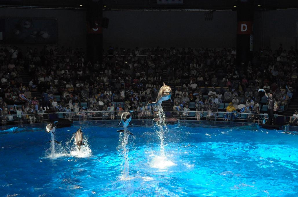 Aqua Park 品川水族馆-Takanawa必去景点