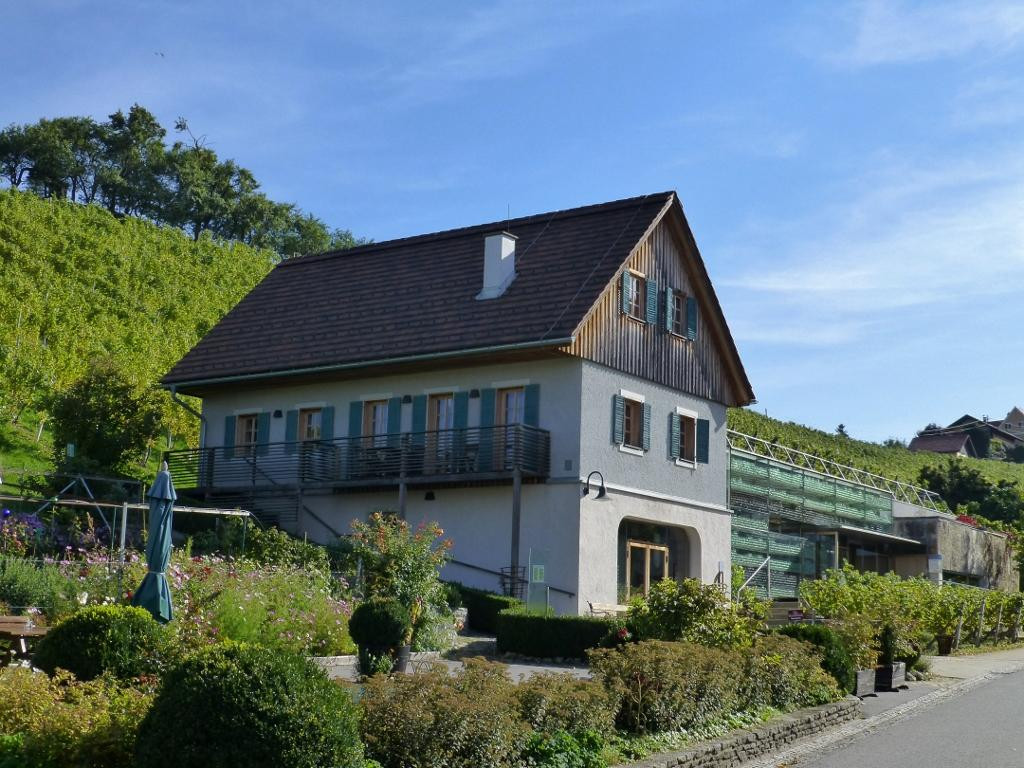 Zgornja Kungota餐馆和美食-Polz Buschenschank