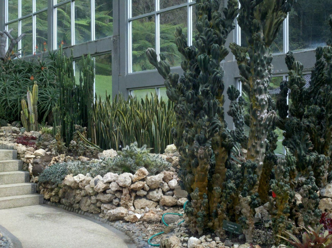 Bali Botanic Garden-达巴南必去景点