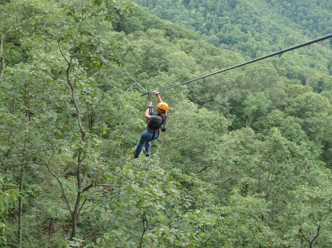 The Gorge Zipline Canopy Tour景点图片