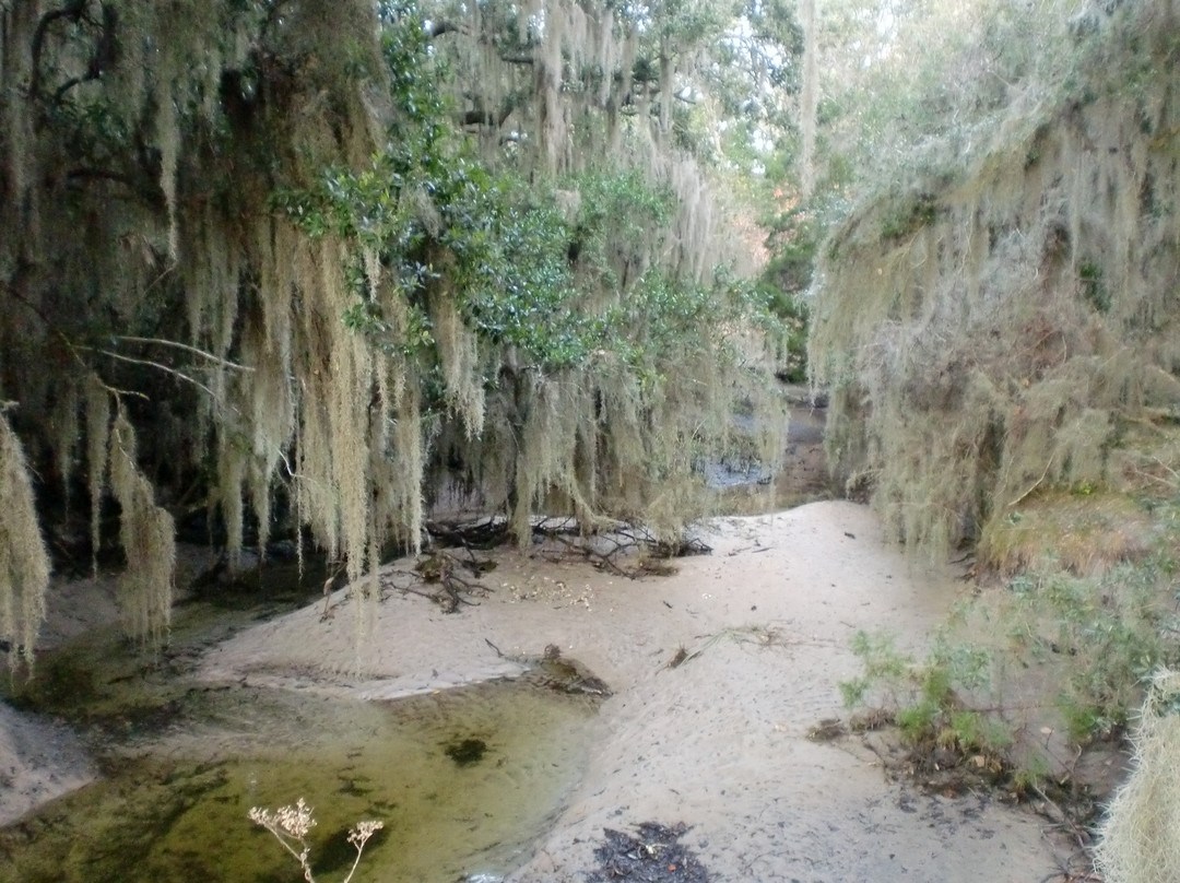 Fort Clinch State Park-费尔南迪纳岛必去景点