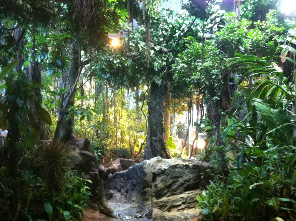 上海科技馆-上海市必去景点