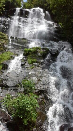 Base of the Falls Trail-道森维尔必去景点
